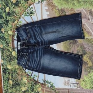 Daytrip - Virgo shorts size 26